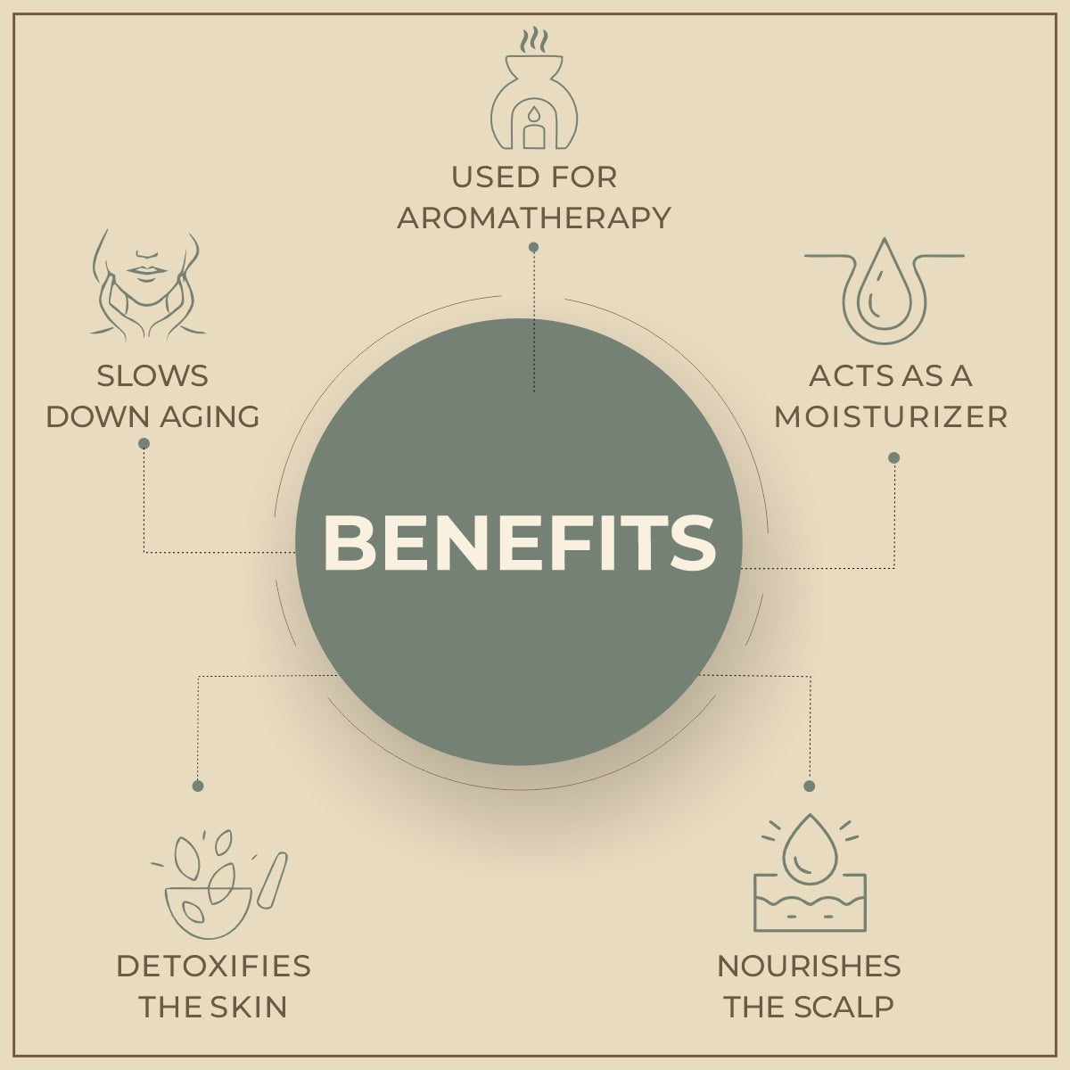 Salvia Natural Carrier Oils Watermelon Oil Salvia Natural Carrier Oils Watermelon Oil